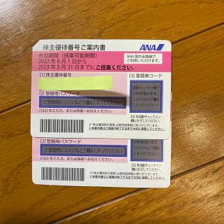 エーエヌエー(ゼンニッポンクウユ)(ANA(全日本空輸))のANA 優待券(その他)