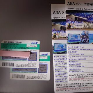 ANA株主優待券２枚(その他)