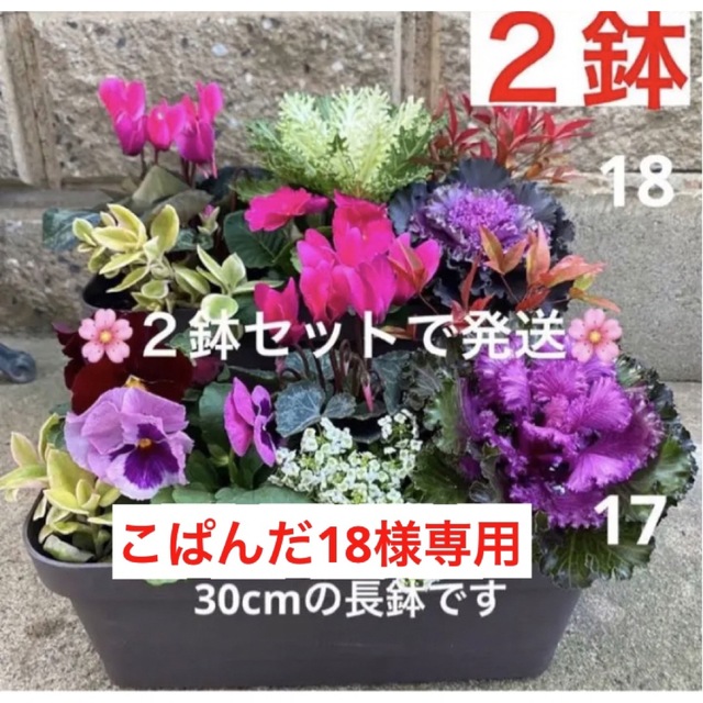 17.18☆特価☆2鉢セットで発送☆寄せ植え　花☆プランター