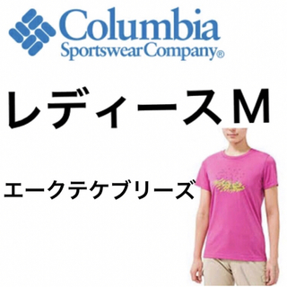 コロンビア(Columbia)のColumbia コロンビア エークテケブリーズ Ｔシャツ レディースM(Tシャツ(半袖/袖なし))