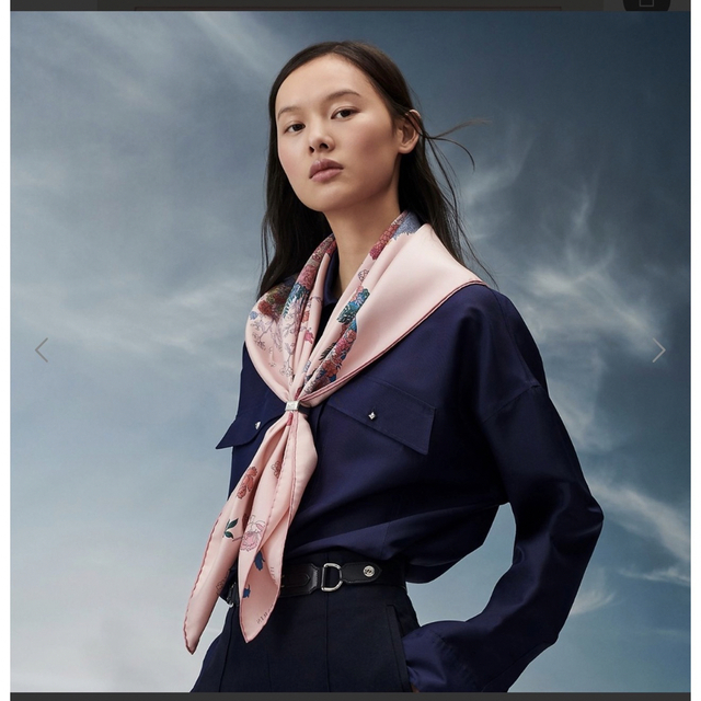 Hermes - エルメスHermesシルクスカーフカレ90ローブレジェールRobe
