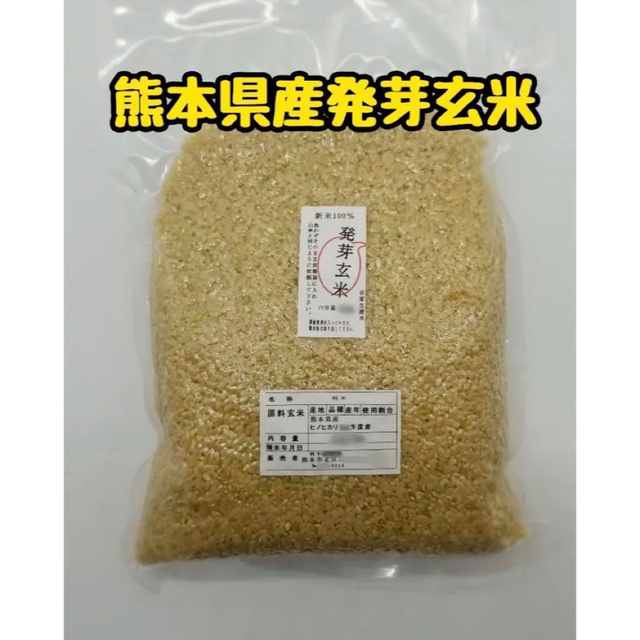 大前さん新米もち米玄米29kg