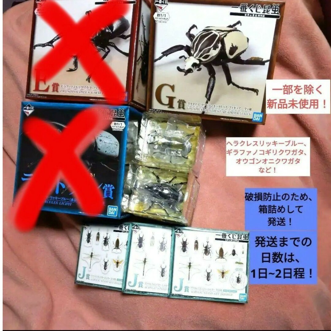 🉐【大人気】【極美品】【現品限り】昆虫一番くじギラファ ヘラクレスリッキーなど | フリマアプリ ラクマ