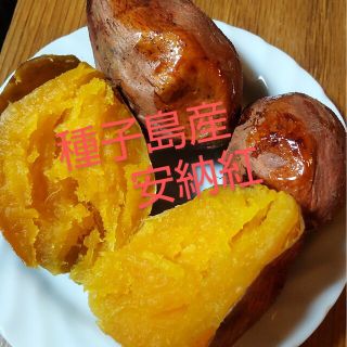 種子島産　安納紅ミニ・2Sサイズ混合5キロ(野菜)