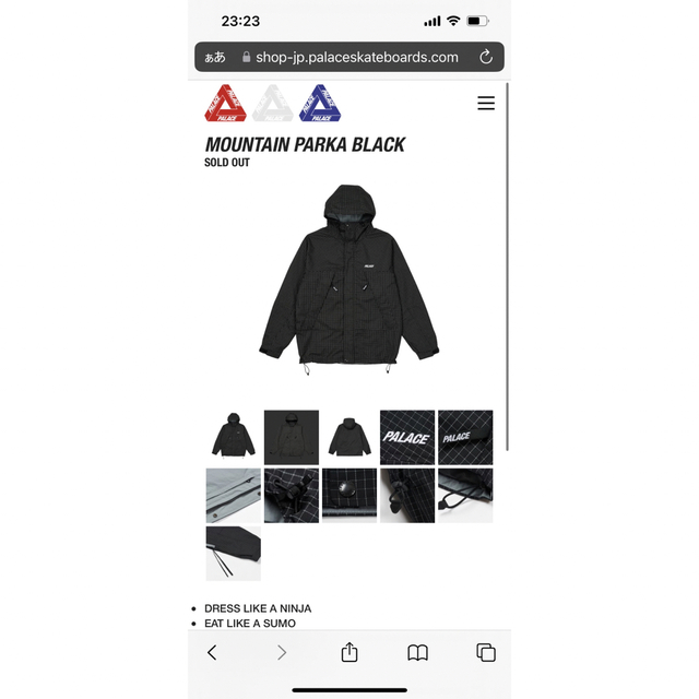 PALACE(パレス)のpalace mountain parka 22aw メンズのジャケット/アウター(マウンテンパーカー)の商品写真