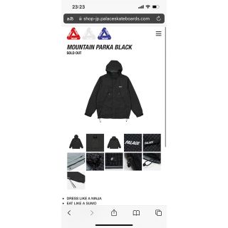 palace mountain parka 22aw