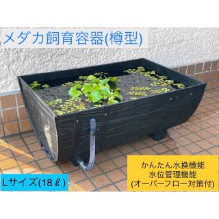 メダカ飼育容器(樽型) 【18L】「かんたん水換え機能」&「水位管理機能」付(アクアリウム)