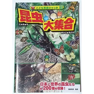 こども写真ひゃっか 昆虫大集合 飯島和彦 監修(趣味/スポーツ/実用)