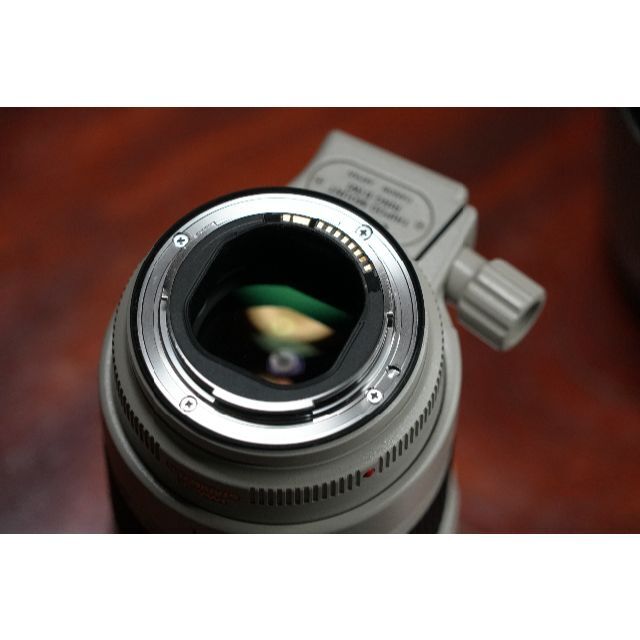 CANON EF70-200mm F2.8 L IS II USM 動作品 CANON EF70-200mm F2.8 L IS II USM 動作品