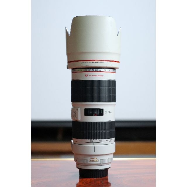 CANON EF70-200mm F2.8 L IS II USM 動作品 CANON EF70-200mm F2.8 L IS II USM 動作品