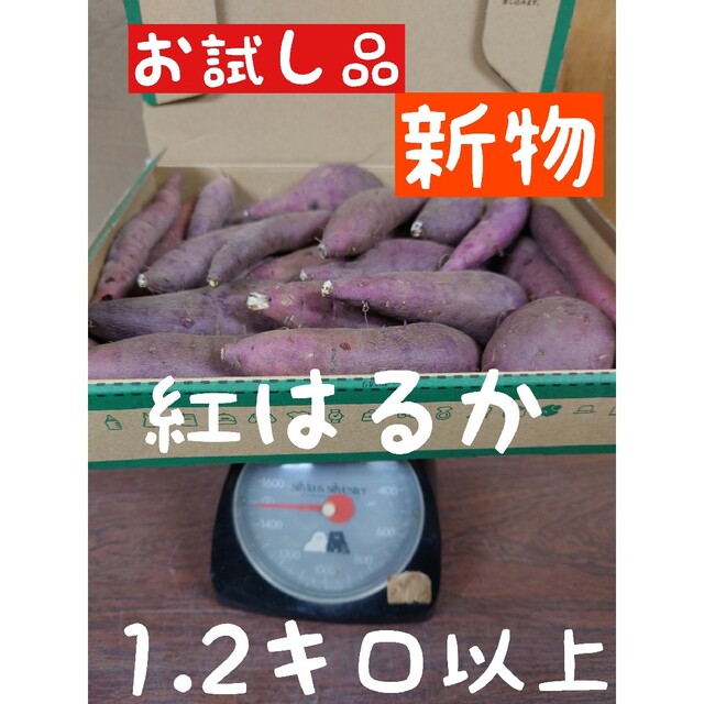 さつまいも【紅はるか、1.2キロ以上】【サツマイモ】【薩摩芋】【野菜】 食品/飲料/酒の食品(野菜)の商品写真