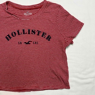 ホリスター(Hollister)のHollister Tシャツ(Tシャツ(半袖/袖なし))