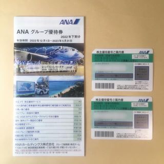 エーエヌエー(ゼンニッポンクウユ)(ANA(全日本空輸))のANA株主優待券 2枚(ショッピング)