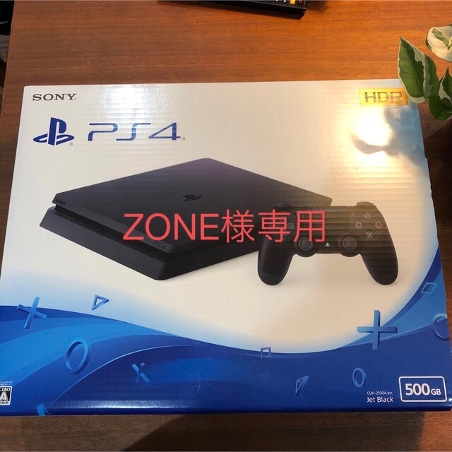 SONY PlayStation4 CUH-2100AB01