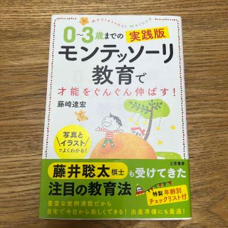 ０～３歳までの実践版モンテッソーリ教育で才能をぐんぐん伸ばす！ 写真とイラストで(結婚/出産/子育て)