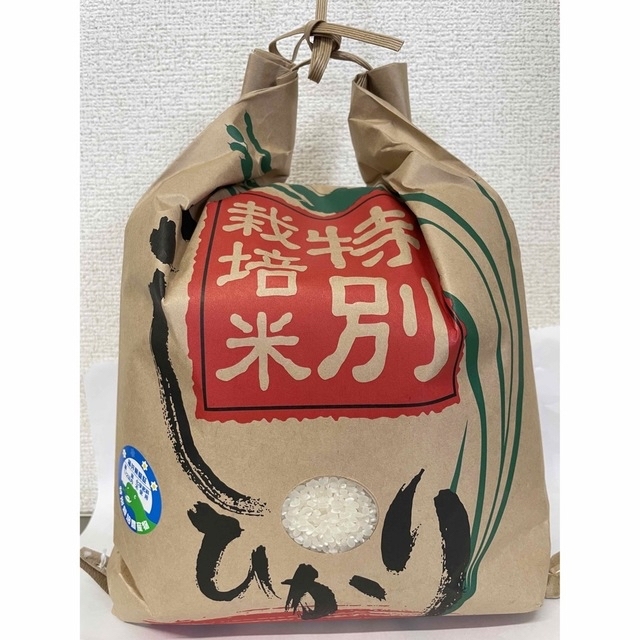令和4年産　特別栽培米　越前市産コシヒカリ10キロ　米/穀物