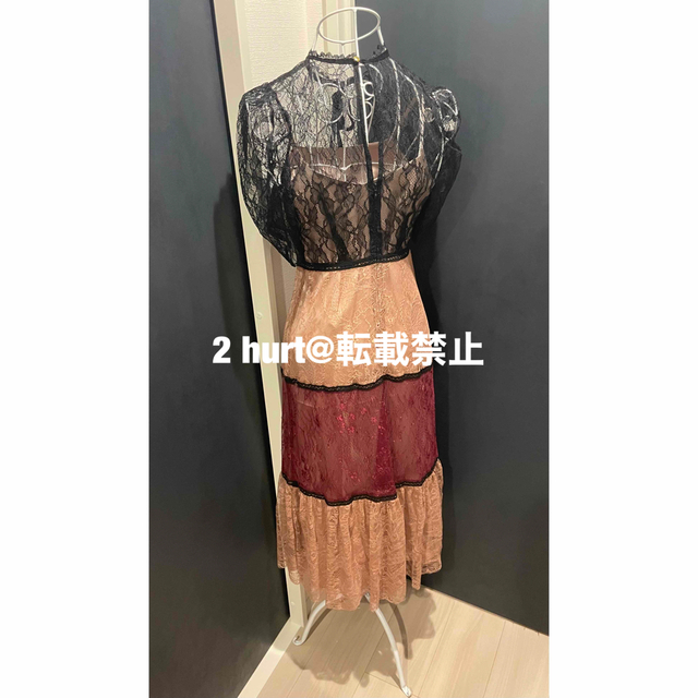 herlipto Multicolored Lace Dress