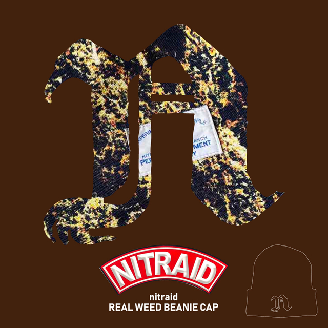 nitraid×newera realweed cap 71/2キャップ