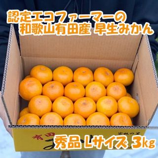 【秀品・Ｌサイズ】和歌山有田産！早生みかん≪3㎏≫(フルーツ)