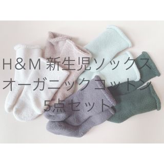 エイチアンドエム(H&M)のオーガニックコットン 新生児ソックス ５点セット （300）(靴下/タイツ)