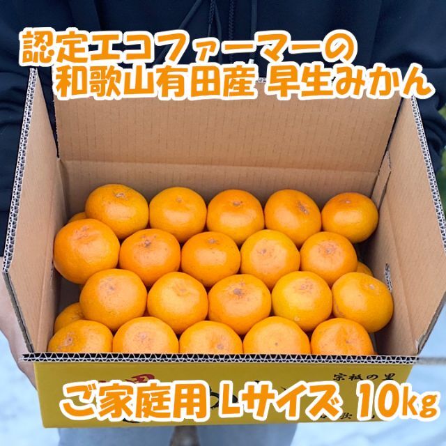 【ご家庭用・Ｌサイズ】和歌山有田産！早生みかん≪10㎏≫みかん