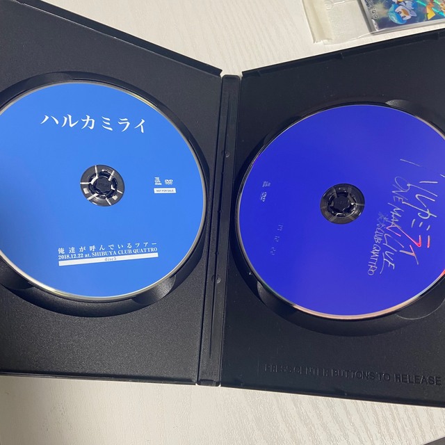 ハルカミライ 廃盤 DVD