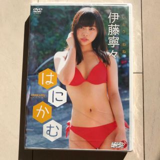 伊藤寧々　はにかむ DVD(アイドル)