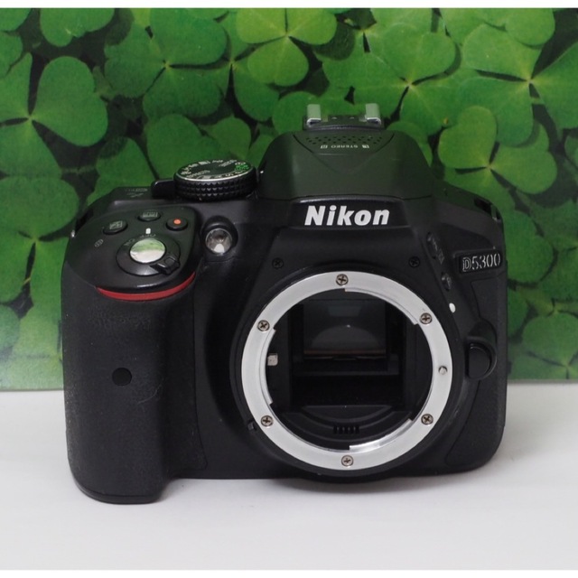 【美品】Wifi搭載⭐️自撮りOK NikonD5300 超高画質2416万画素