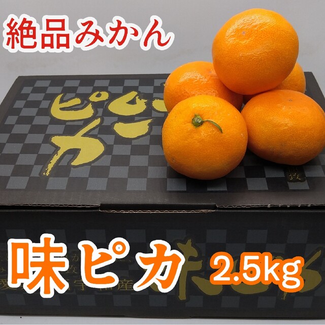 愛媛県産★【味ピカ】みかん★トロトロ高糖度❢2.5kg 食品/飲料/酒の食品(フルーツ)の商品写真