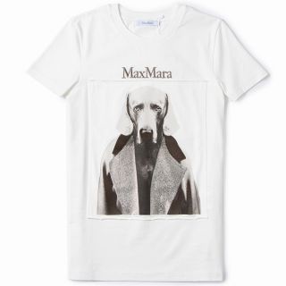 マックスマーラ(Max Mara)のマックスマーラ MAX MARA Tシャツ MMDOG ピュアコットン クルーネック ジャージー ホワイト 19460323 0006 011WH(Tシャツ(半袖/袖なし))