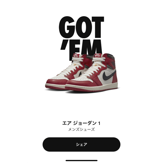 NIKE Air Jordan 1  Chicago シカゴ US10 28