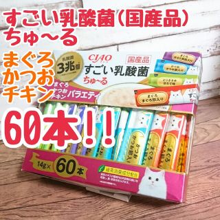 イナバペットフード(いなばペットフード)のすごい乳酸菌 ちゅ～る 60本セット いなば チャオちゅーる(ペットフード)