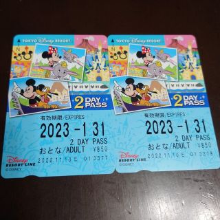 ディズニーリゾートライン　2daysパス　大人2枚(遊園地/テーマパーク)