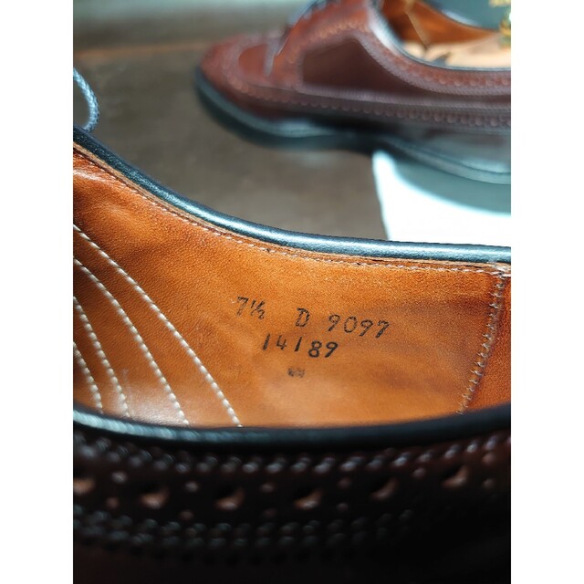 Allen Edmonds(アレンエドモンズ)のアレンエドモンズ　コードバン MacNeil  ALLEN マクニール メンズの靴/シューズ(ドレス/ビジネス)の商品写真