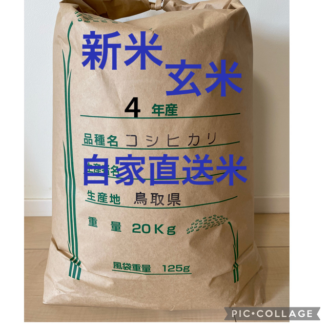 玄米》 新米 お米20kg 令和4年　鳥取県産 コシヒカリ《米20キロ