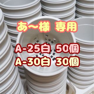 プラ鉢2.5号鉢【A-25】50個 他 スリット鉢 丸 プレステラ 多肉植物(プランター)