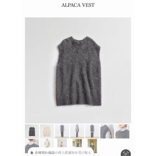 シンゾーン(Shinzone)のまい様＊shinzone ALPACA VEST◎(ニット/セーター)