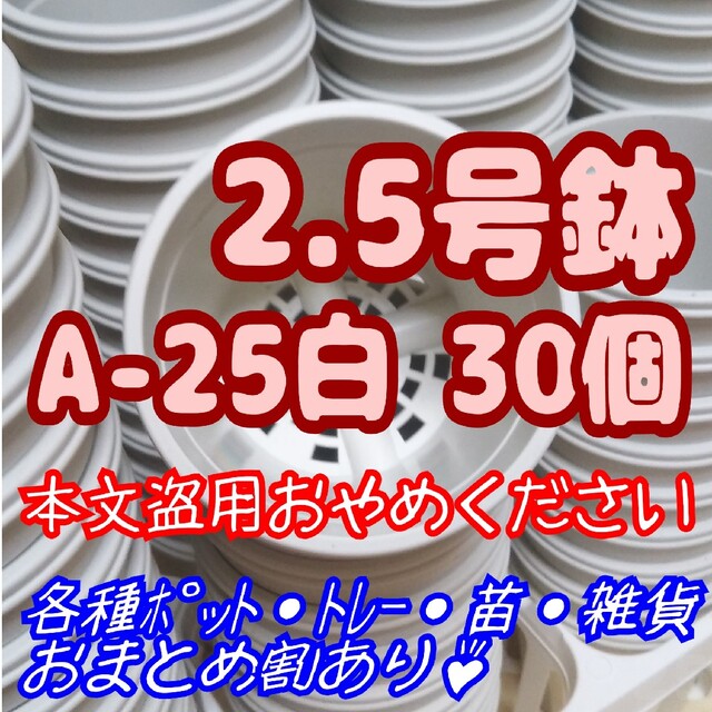 プラ鉢2.5号鉢【A-25】30個 スリット鉢 丸 プレステラ 多肉植物 ハンドメイドのフラワー/ガーデン(プランター)の商品写真