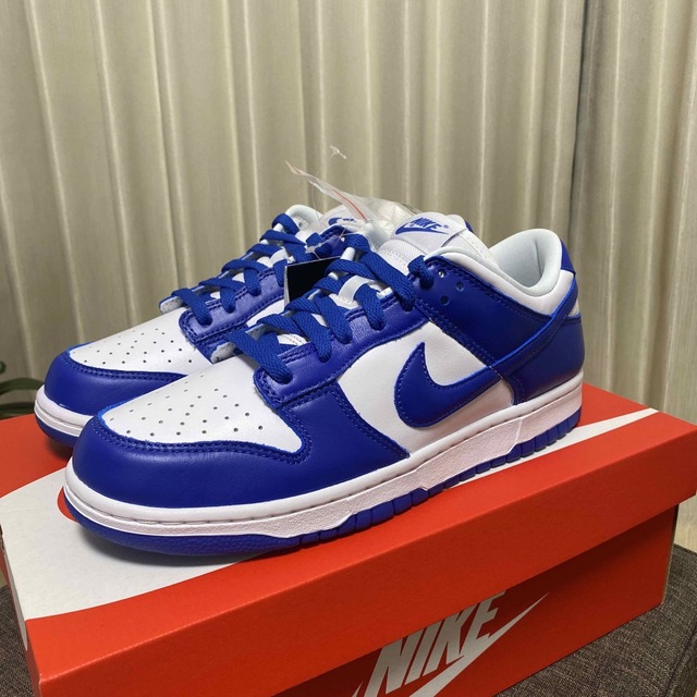 NIKE DUNK LOW SP 1