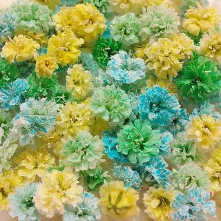 〖100粒以上〗mix かすみ草のドライフラワー💐(ドライフラワー)