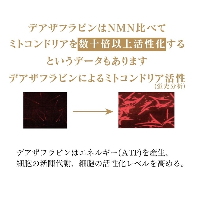 デアザフラビン ➕ 5-ALA 1粒NMN1200mg相当 ※コメントにて割引