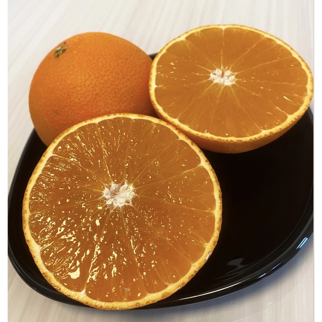 ○愛媛県産 愛果28号 柑橘 10kg - フルーツ