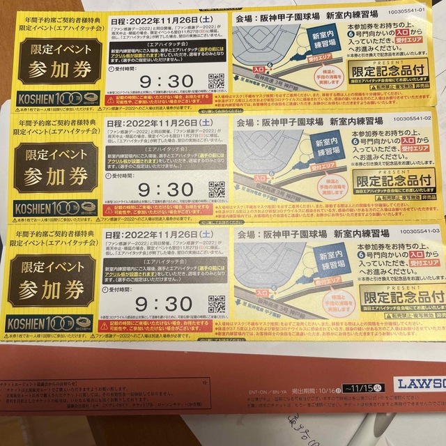 阪神タイガース　ファン感謝デー　エアーハイタッチ(記念品付き)アイビーシート3枚チケット