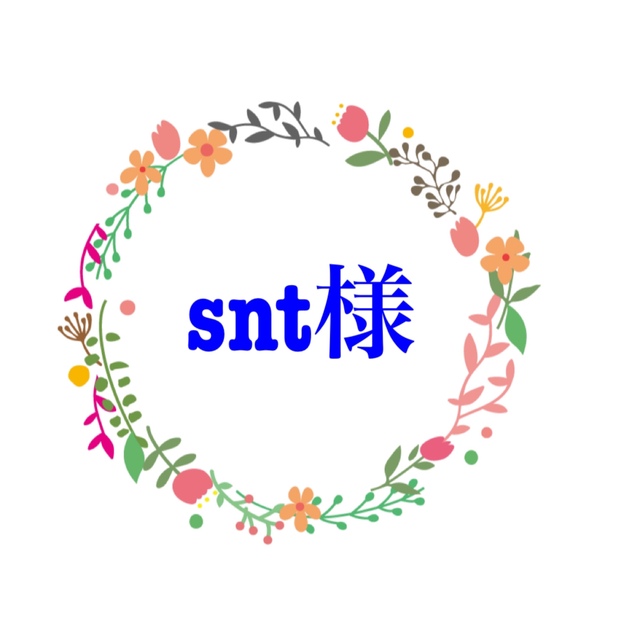 大きな割引 sntさま専用 - htii.edu.kz