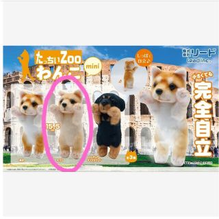 ちったいZoo わんこ mini チワワ*プライズ*犬*イヌ(ぬいぐるみ)