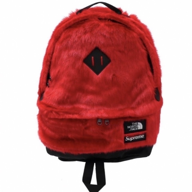 Supreme / The North Face Backpack "Red" 4