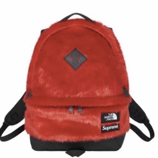 Supreme / The North Face Backpack "Red" 1