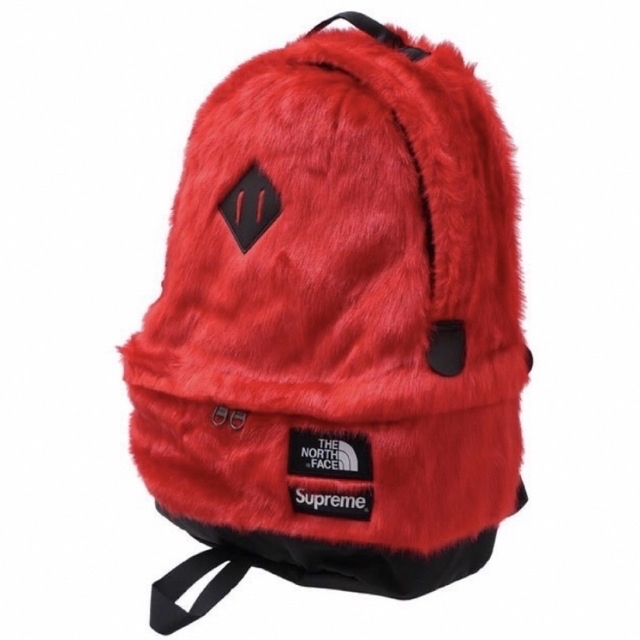 Supreme / The North Face Backpack "Red" 3