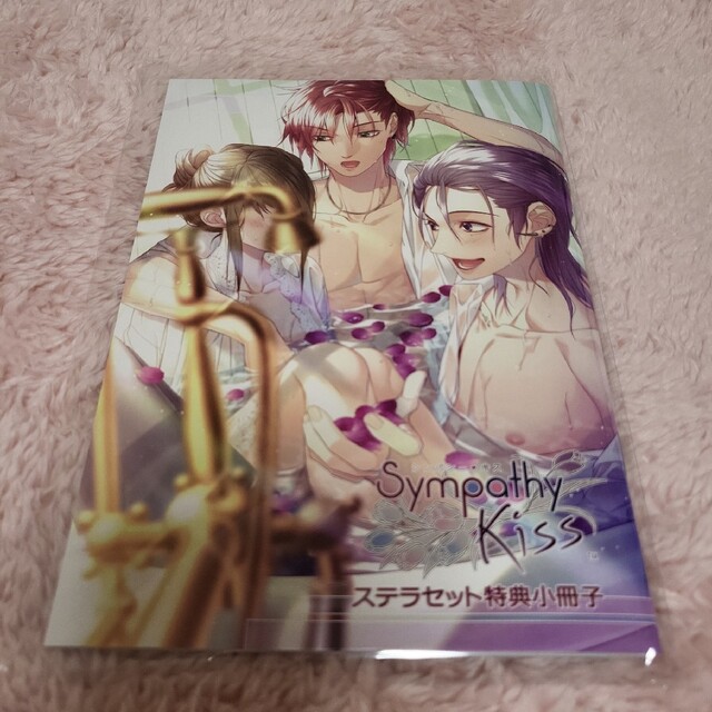 sympathykiss ステラ小冊子 エンタメ/ホビーのアニメグッズ(その他)の商品写真