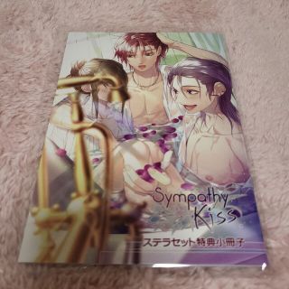 sympathykiss ステラ小冊子(その他)